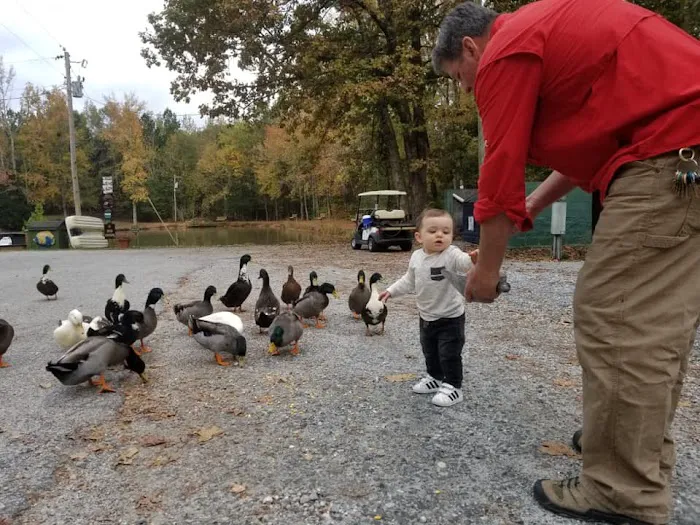 Pine Ridge Campground Picture 5