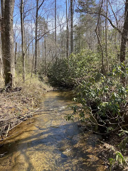 Paris Mountain State Park Campground Picture 6