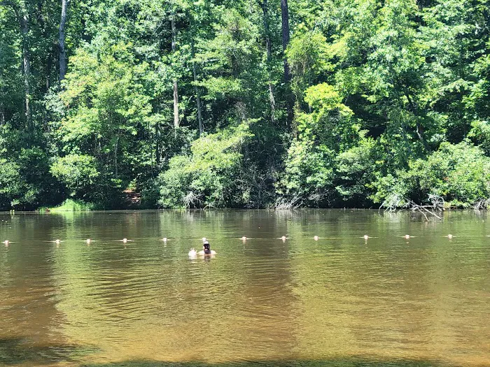 Paris Mountain State Park Campground Picture 3