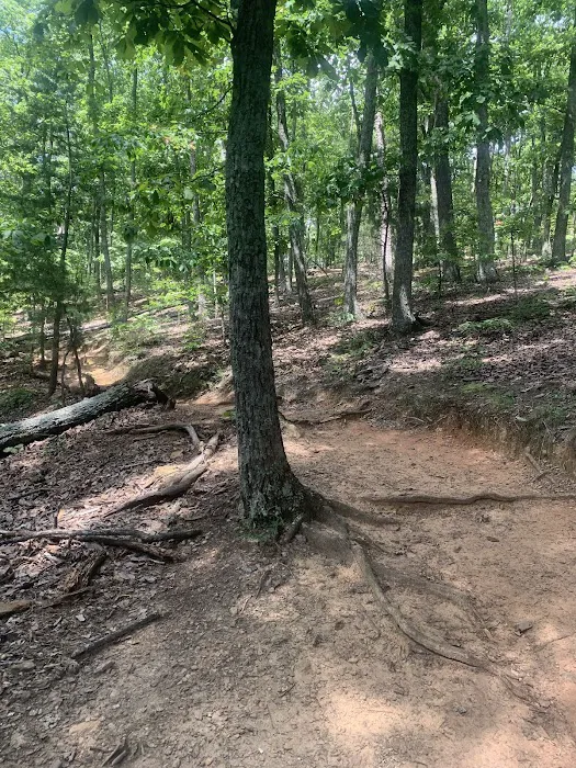 Camp Buckhorn Picture 1