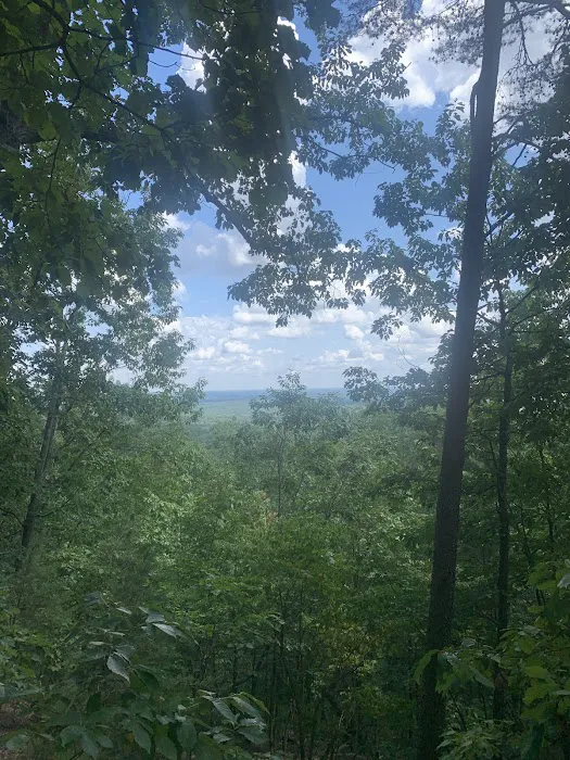 Camp Buckhorn Picture 3