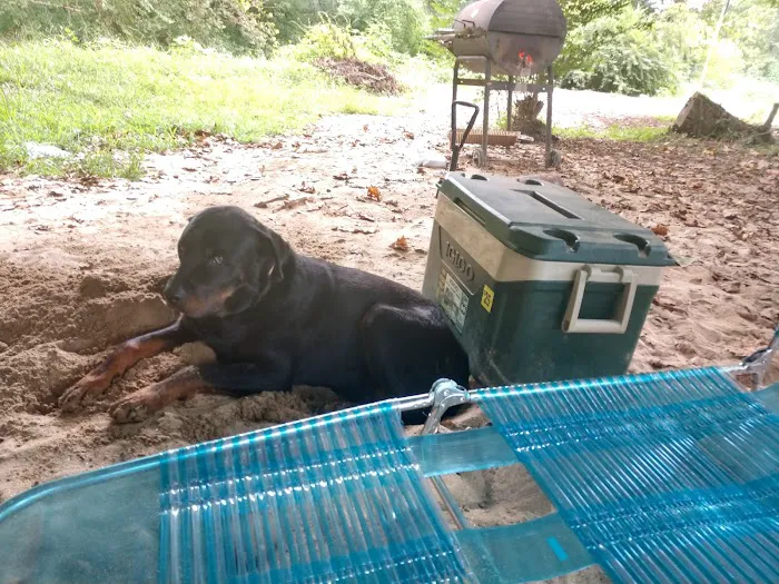 Catawba River Campground Picture 4