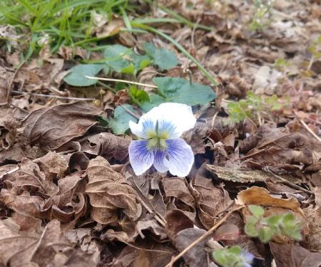 Catawba River Campground
