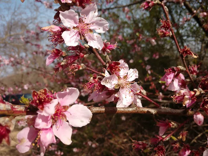 Catawba River Campground Picture 3