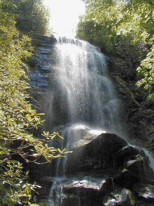 Catawba Falls Campground, LLC Picture 3