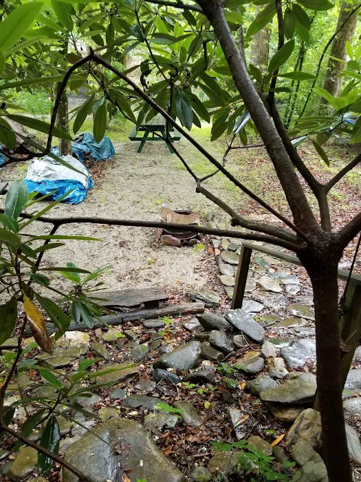 Triple C Campground Picture 1