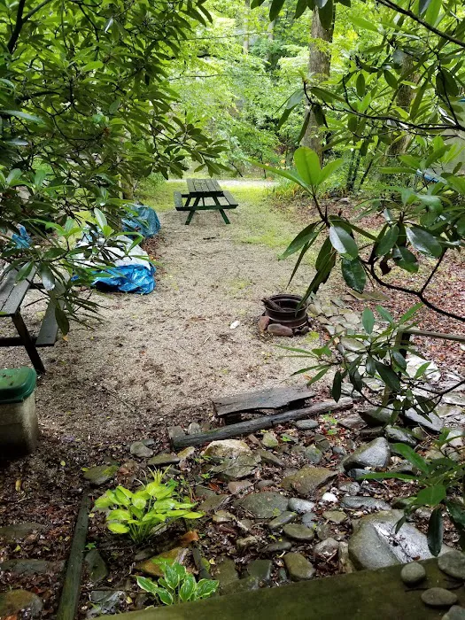 Triple C Campground Picture 7