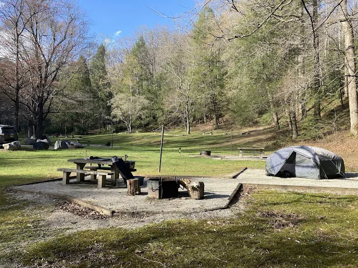 Curtis Creek Campground Picture 4