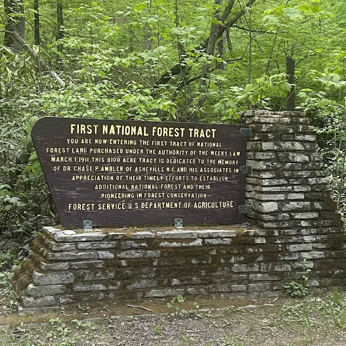 Curtis Creek Campground Picture 6