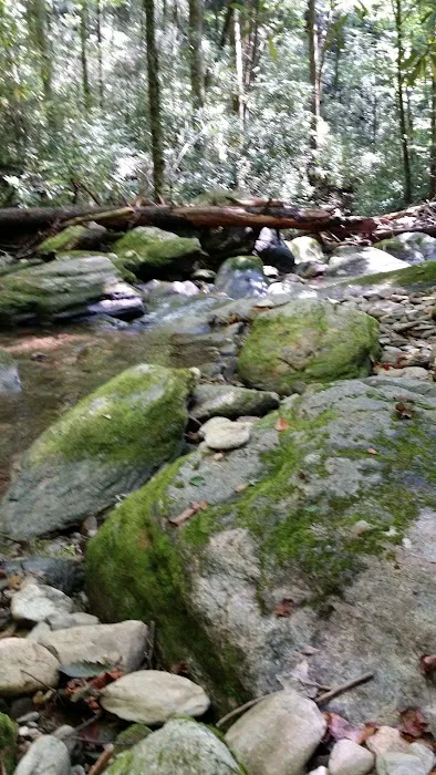 Curtis Creek Campground Picture 7