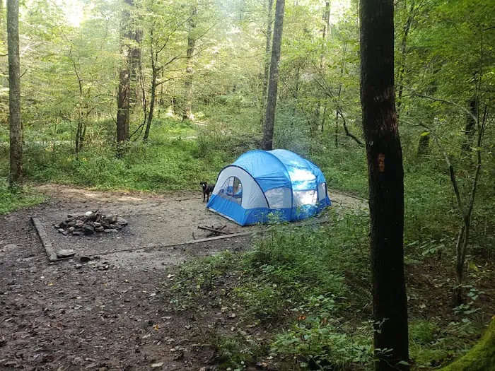 Curtis Creek Campground Picture 9