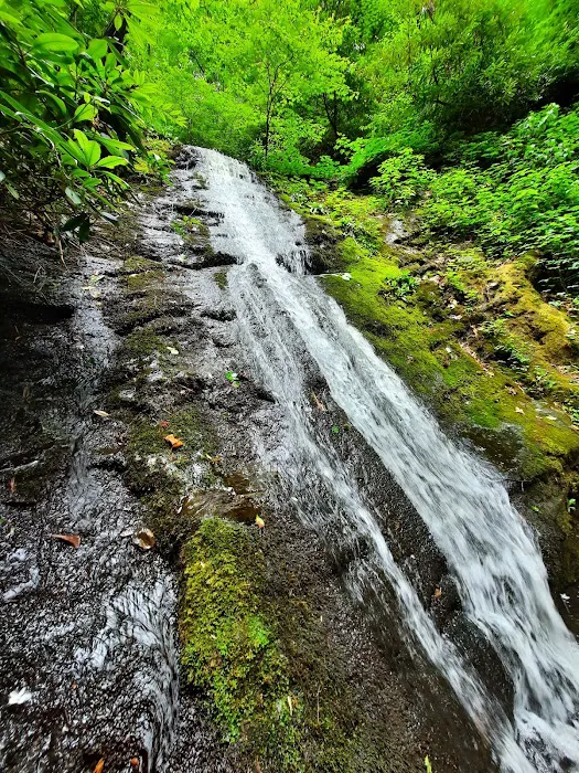 Curtis Creek Campground Picture 10