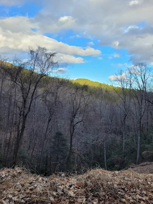 Curtis Creek Campground Picture 8