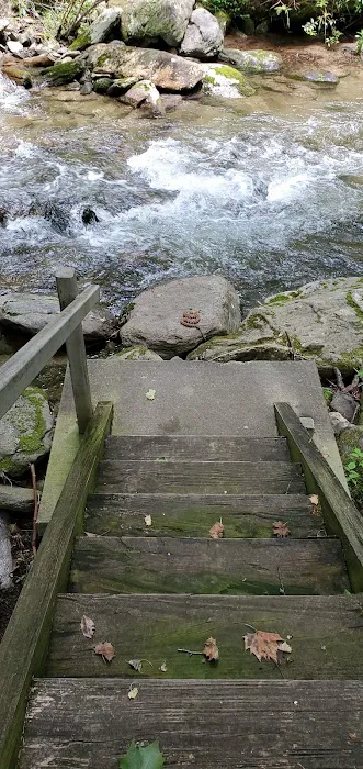 Curtis Creek Campground Picture 1