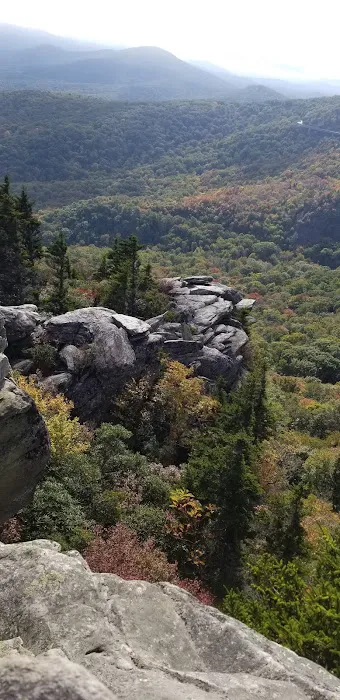Curtis Creek Campground Picture 3