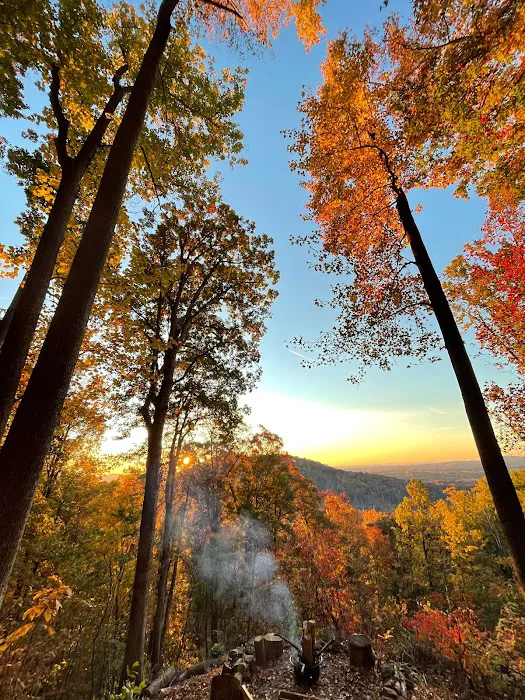 Tryon Glamping Picture 5