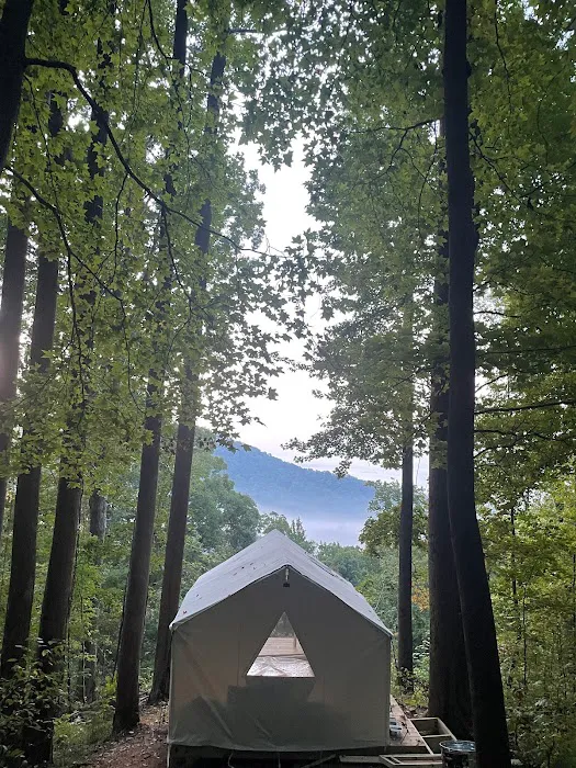 Tryon Glamping Picture 2