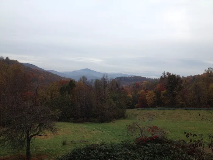 Drala Point Campgrounds Picture 6