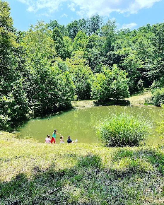 Drala Point Campgrounds Picture 4