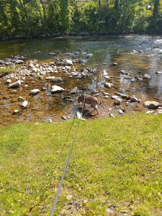 Leeman Field RV Park and Campground Picture 8