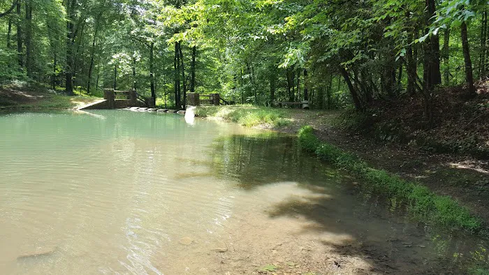 US Forestry Department Picture 6