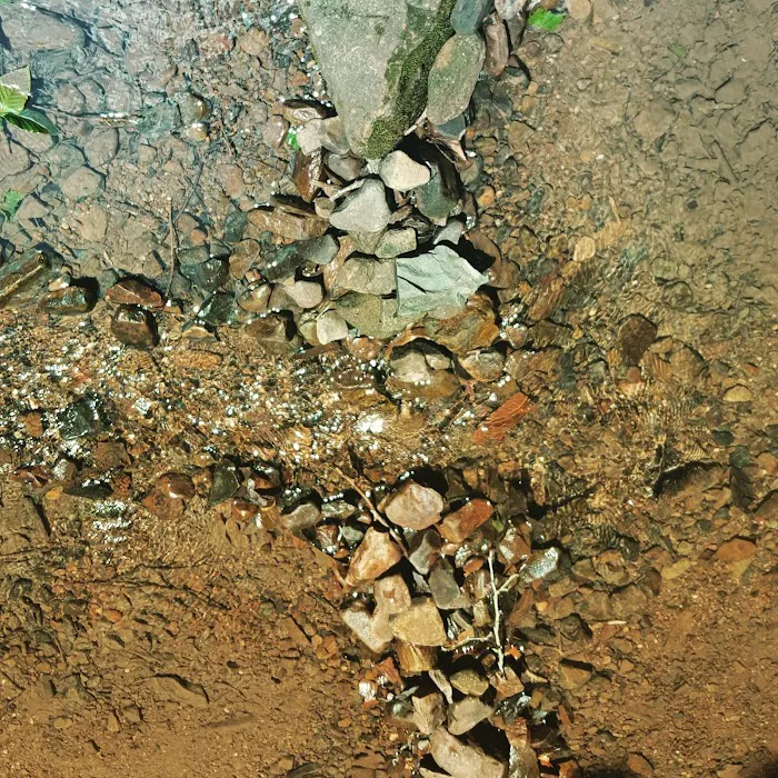 US Forestry Department Picture 8