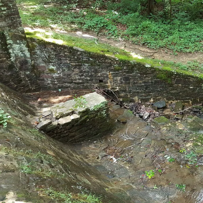 US Forestry Department Picture 7