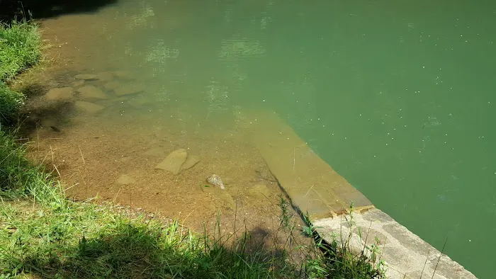 US Forestry Department Picture 1