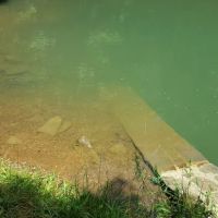 US Forestry Department ico