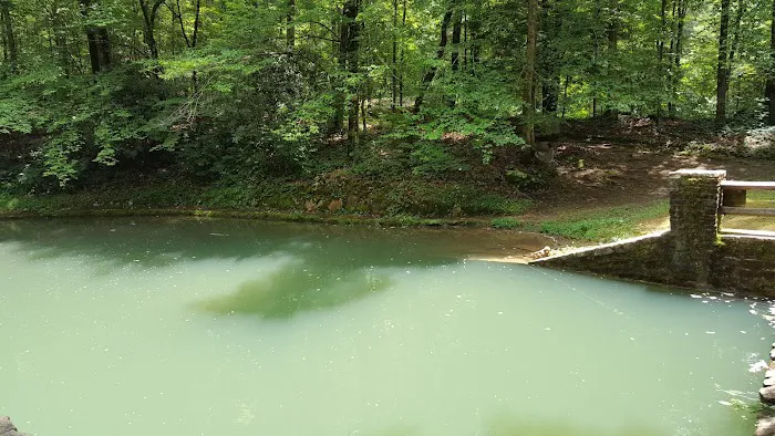 US Forestry Department Picture 3