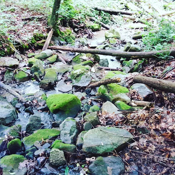 US Forestry Department Picture 5