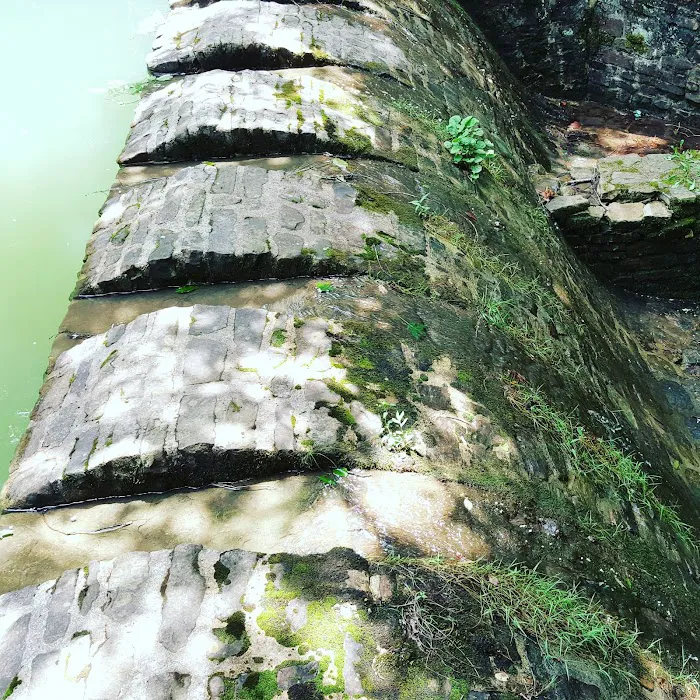 US Forestry Department Picture 4