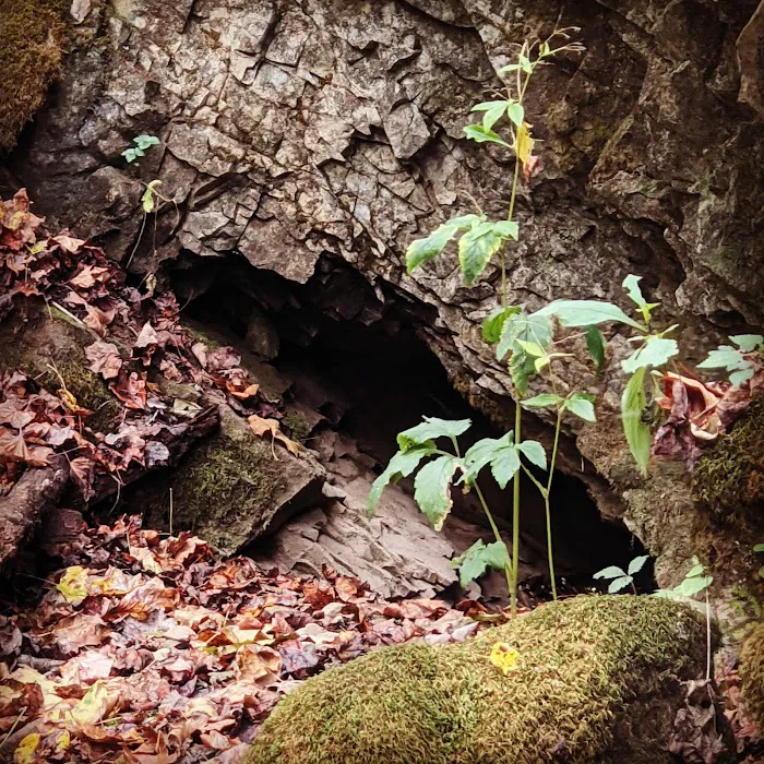 God's Green Acres Picture 2