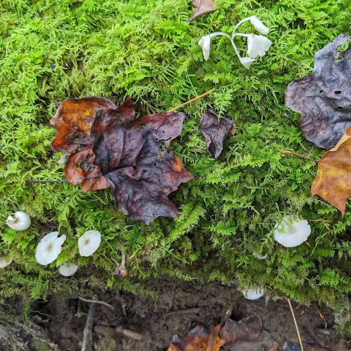 God's Green Acres Picture 3