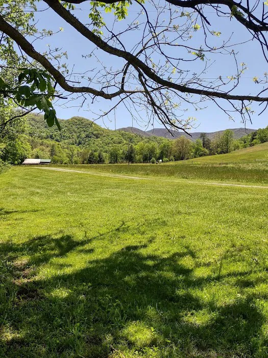 Yellow Mountain Campground Picture 9