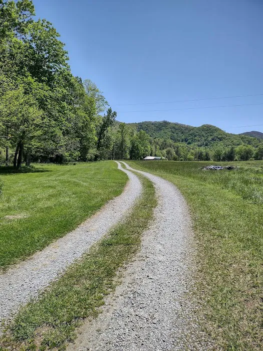Yellow Mountain Campground Picture 7