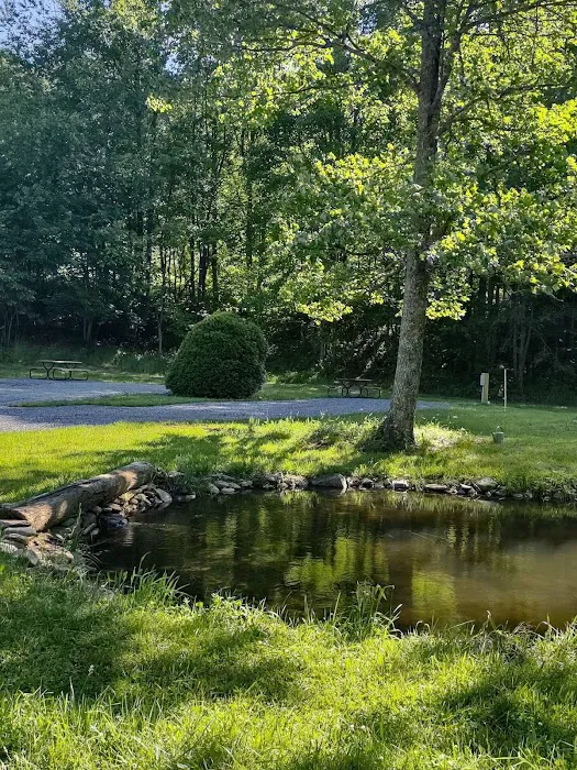 Yellow Mountain Campground Picture 5
