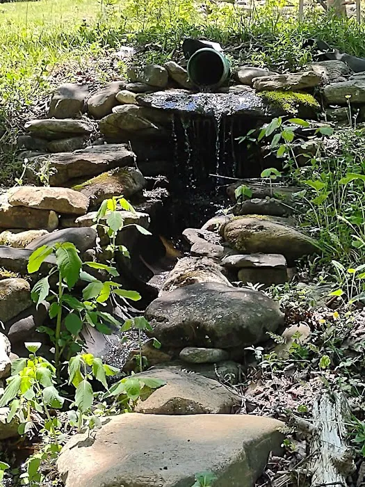 Yellow Mountain Campground Picture 3