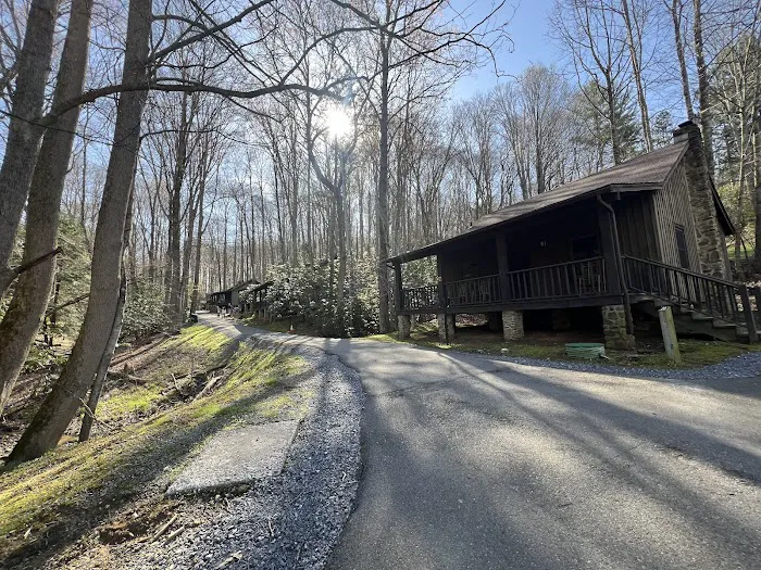 Roan Mountain State Park Cabins Picture 3
