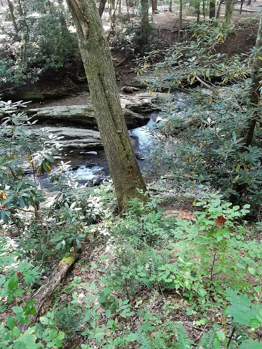 Roan Mountain State Park Check-in Station Picture 10