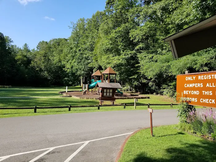 Roan Mountain State Park Campground Picture 9