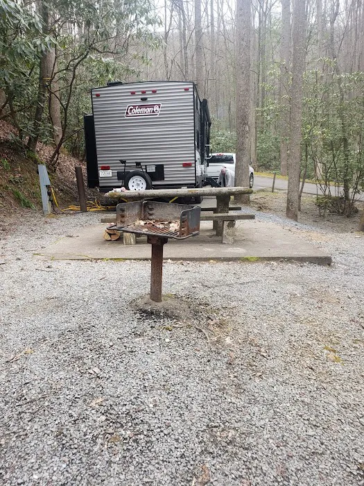 Roan Mountain State Park Campground Picture 8