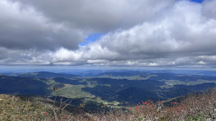 Roan Mountain State Park Campground Picture 3