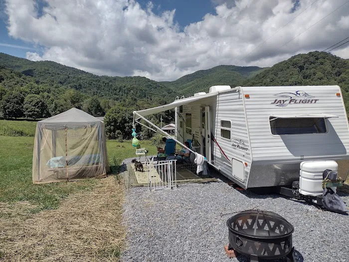 Alexandria's Roan Mountain Camping Picture 8