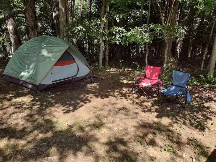 Alexandria's Roan Mountain Camping Picture 10