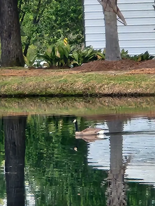 Mr. Tommy's Campground Picture 1