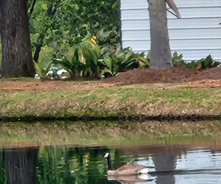 Mr. Tommy's Campground