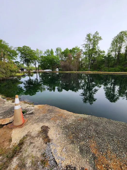 Mr. Tommy's Campground Picture 4