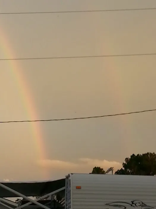 Trackside Camping Picture 9