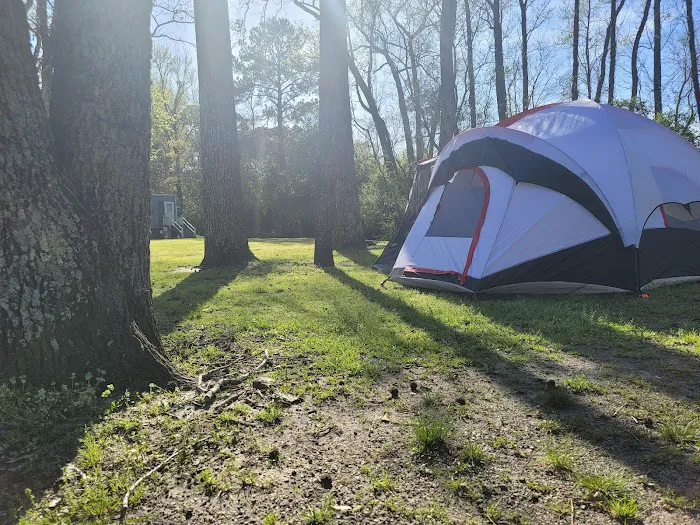 Swamp Fox Campground Picture 10